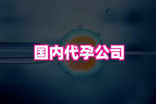 江苏助孕网 1