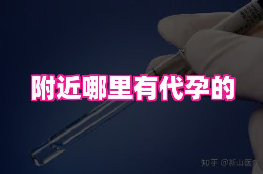 江苏助孕网 2