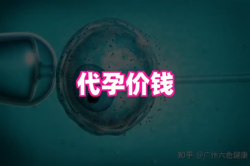 江苏助孕网 4